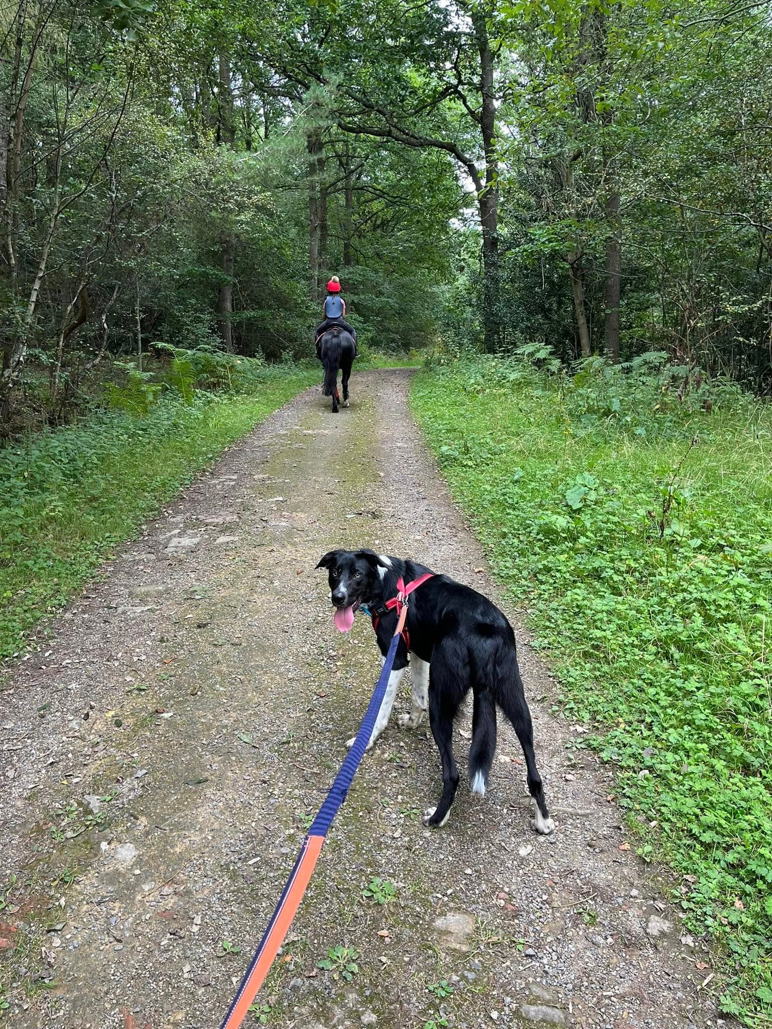 Solo Walks